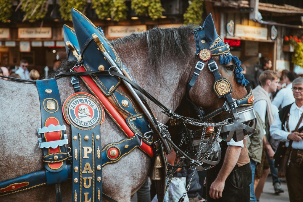 A decorated horse with traditional harness at Oktoberfest, Munich, Germany.